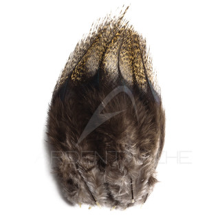 Pardo Feathers DEVAUX Pelle medium