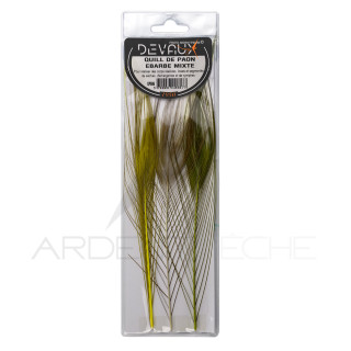 Quills di pavone sbarbati DEVAUX assortimento