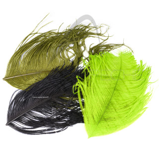 Ostrich herls on stem