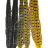 Common pheasant dyed tail