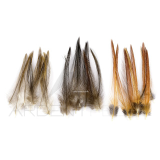 Corrèze fishing cock neck feather