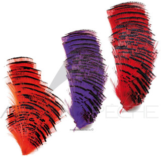 Golden pheasant half collar dyed