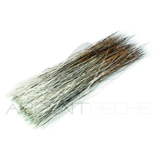 Criniera d'alce