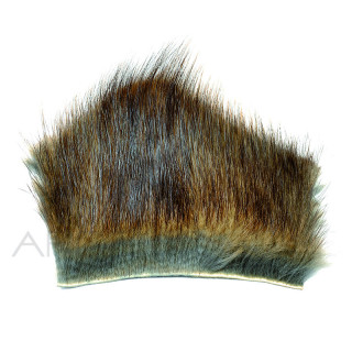 Muskrat