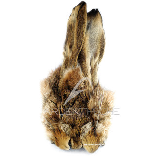 Hare Mask Whole Natural