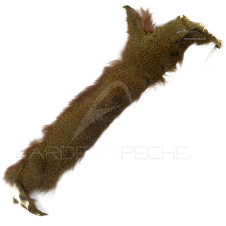 Red Squirrel Half Skin