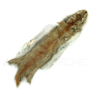 Pine Squirrel Skin