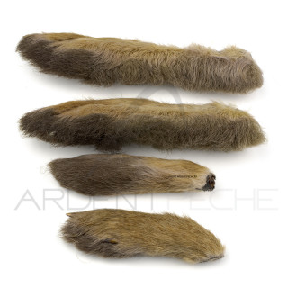 Snowshoe Rabbit Foot