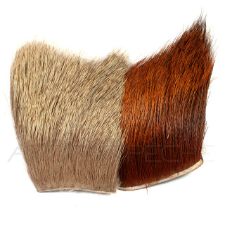 Elk Hair