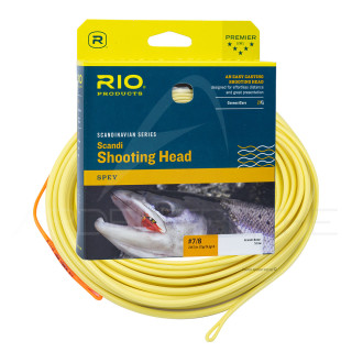 Coda RIO Scandi Body