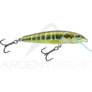 Pesciolino SALMO Minnow 5 F
