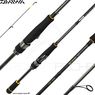 Canna spinning DAIWA BG RF