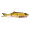 Soft bait MEGABASS Mag draft hasu raver
