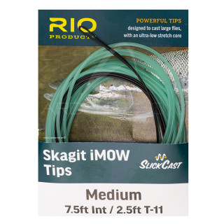 RIO Skagit IMOW Tip Medium intermedio 3m