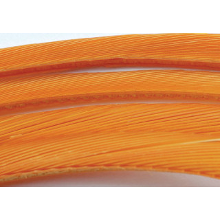 Oca biots quills
