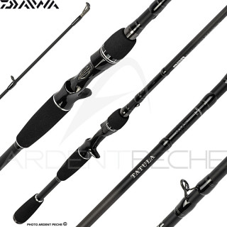 Casting rod DAIWA Tatula 23