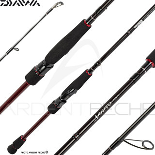 Canna spinning DAIWA Ardito 23