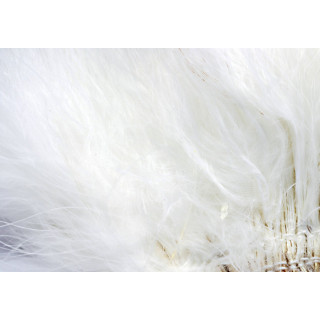 Marabou quill feathers