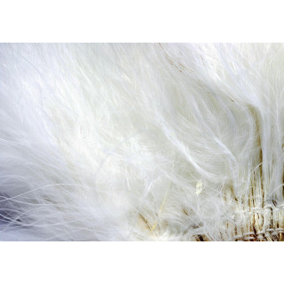 Strung marabou