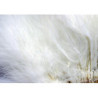 Strung marabou