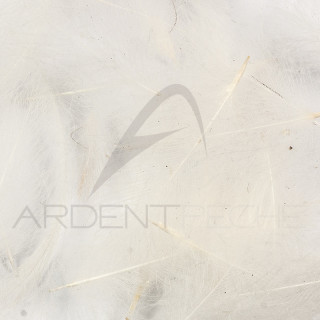 Cul de canard XL AB FLY