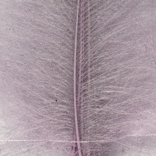 Cul de canard DEVAUX select