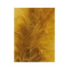 Tintura Veniard