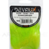 Cervo DEVAUX