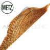 1/2 collo di gallo METZ grade 3
