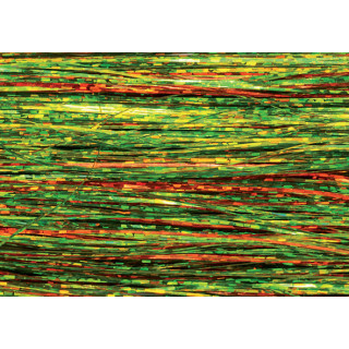 Flashabou Holographic