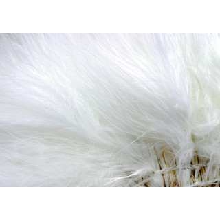 Marabou quill feathers