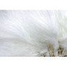 Marabou quill feathers