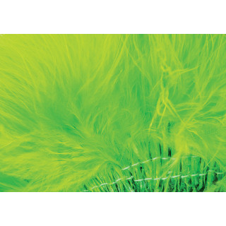 Marabout plumes quill