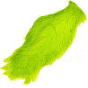 Collo di gallo tinto (rooster neck)