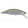 Pesce nuotatore JACKSON Meteora 63