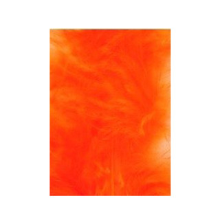 Tintura Veniard