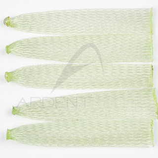 Corps de crabe EP SOFT SHELL CRAB BODY