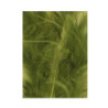 Tintura Veniard