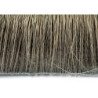 Daino fine e corto