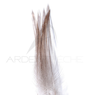 Corrèze fishing cock neck feather