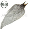 Colli di gallo METZ grade 2