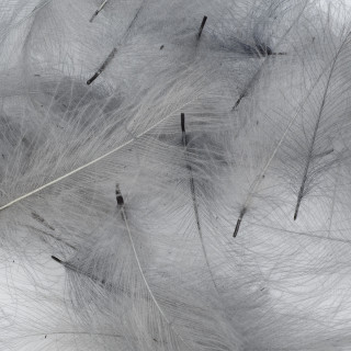 Cul de canard sfuso AB FLY 1gr