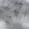 Cul de canard sfuso AB FLY 1gr
