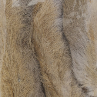 Snowshoe Rabbit Foot