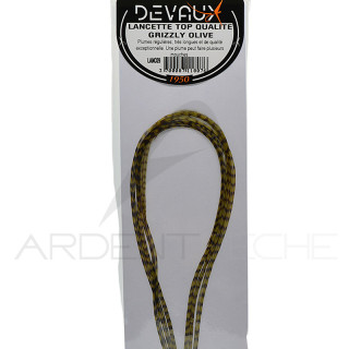 Lancettes de coq DEVAUX Top qualité