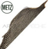 1/2 collo di gallo METZ grade 3
