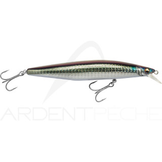 Pesce nageur MEGABASS Marine gang cookai 120 F
