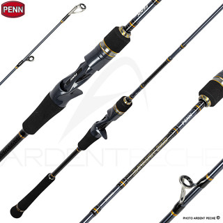 Canna casting PENN Battalion solid jig