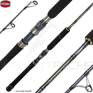 Canna spinning PENN Battalion solid boat