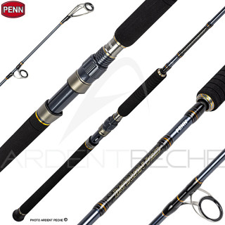 Canna spinning PENN Battalion solid offshore casting